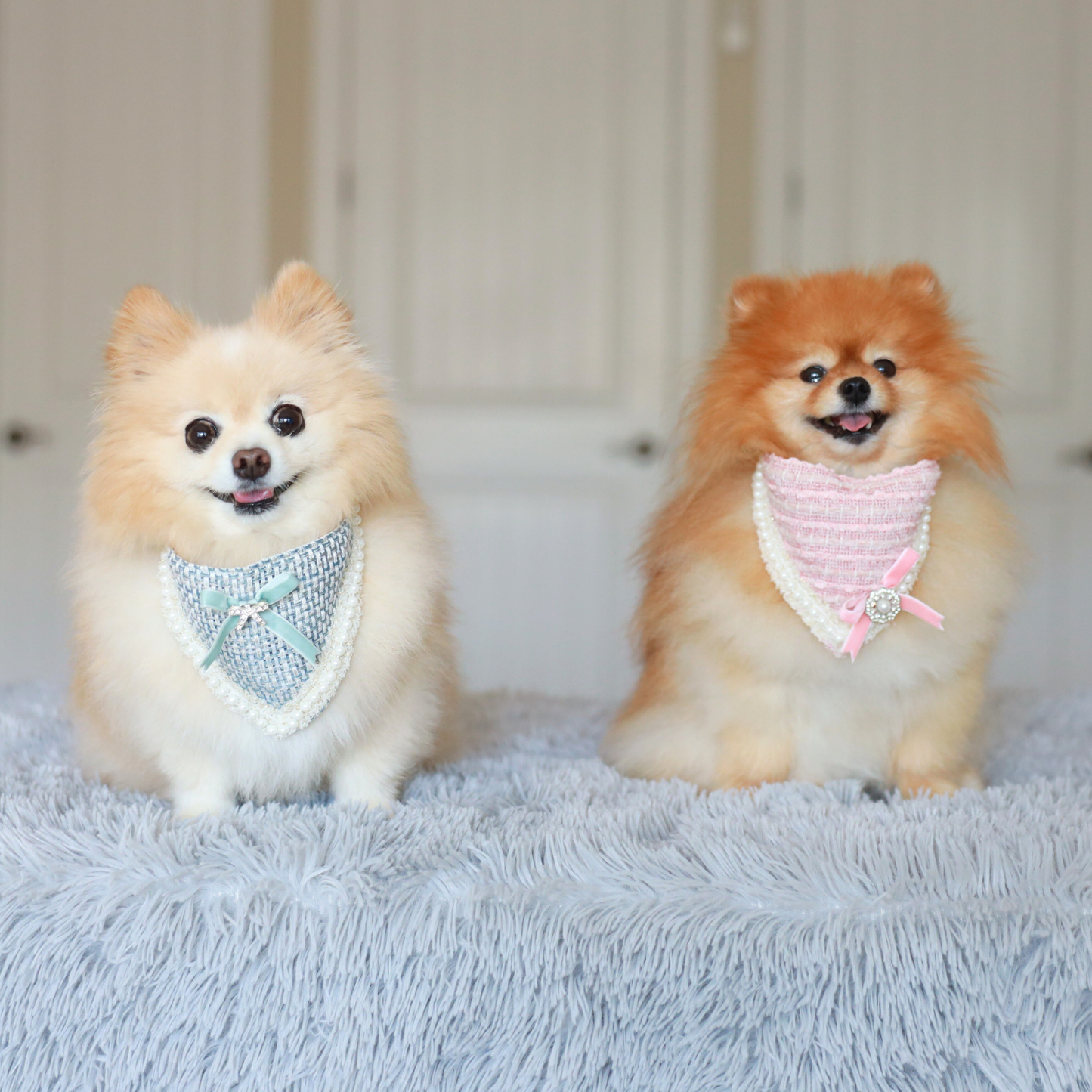 Duke of Elegance Bandana