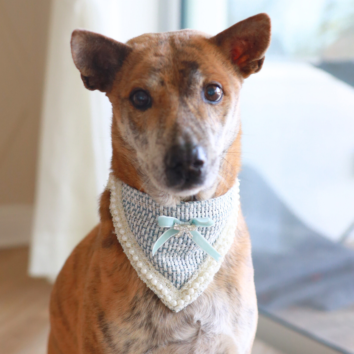 Duke of Elegance Bandana