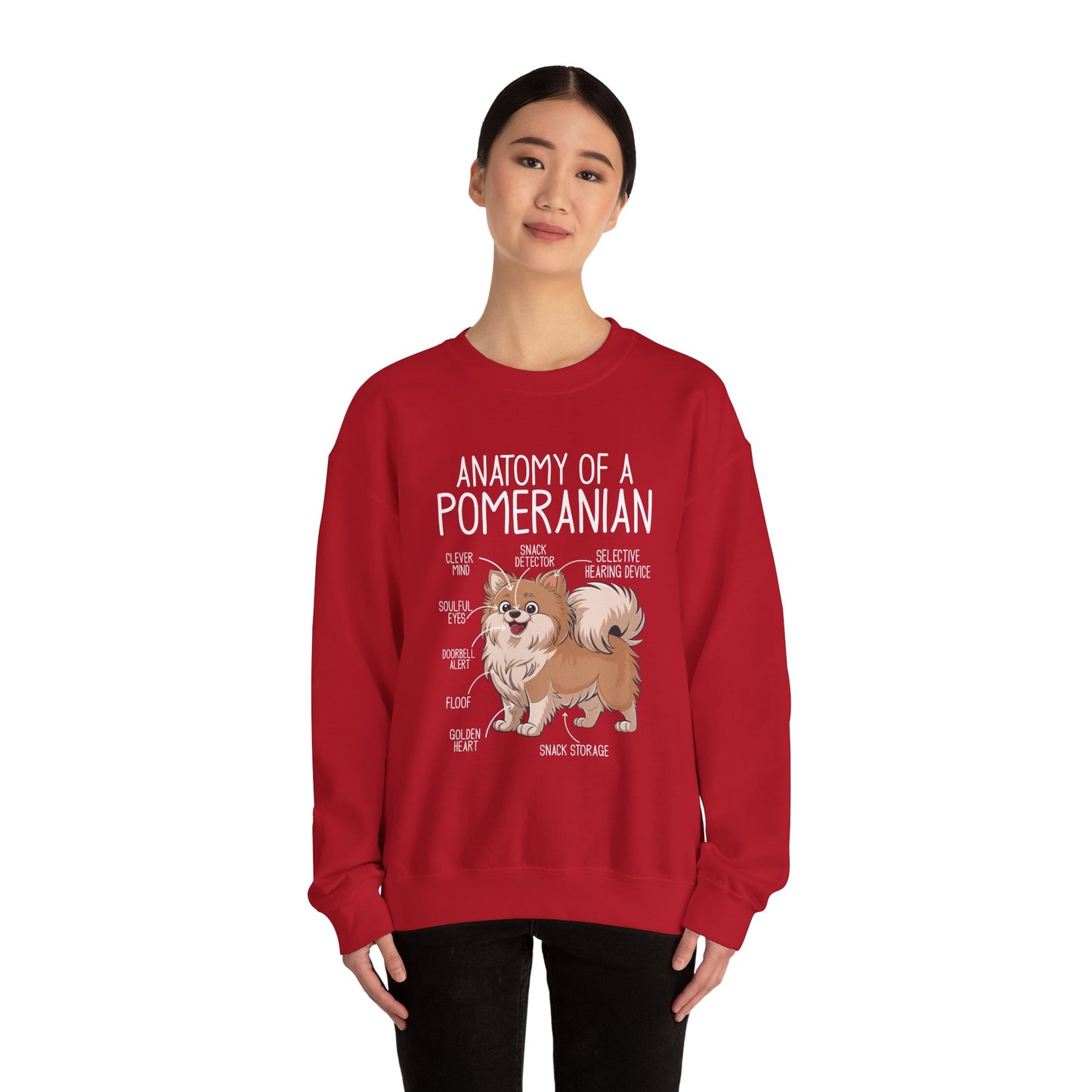 Anatomy of a Pomeranian Sweatshirt