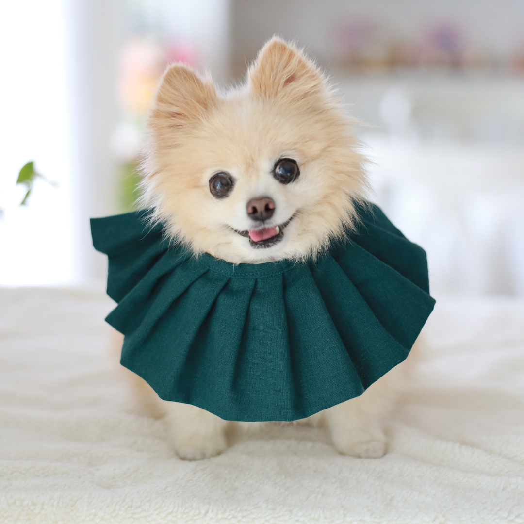 Daisy Dog Bib / Bandana for Mealtime