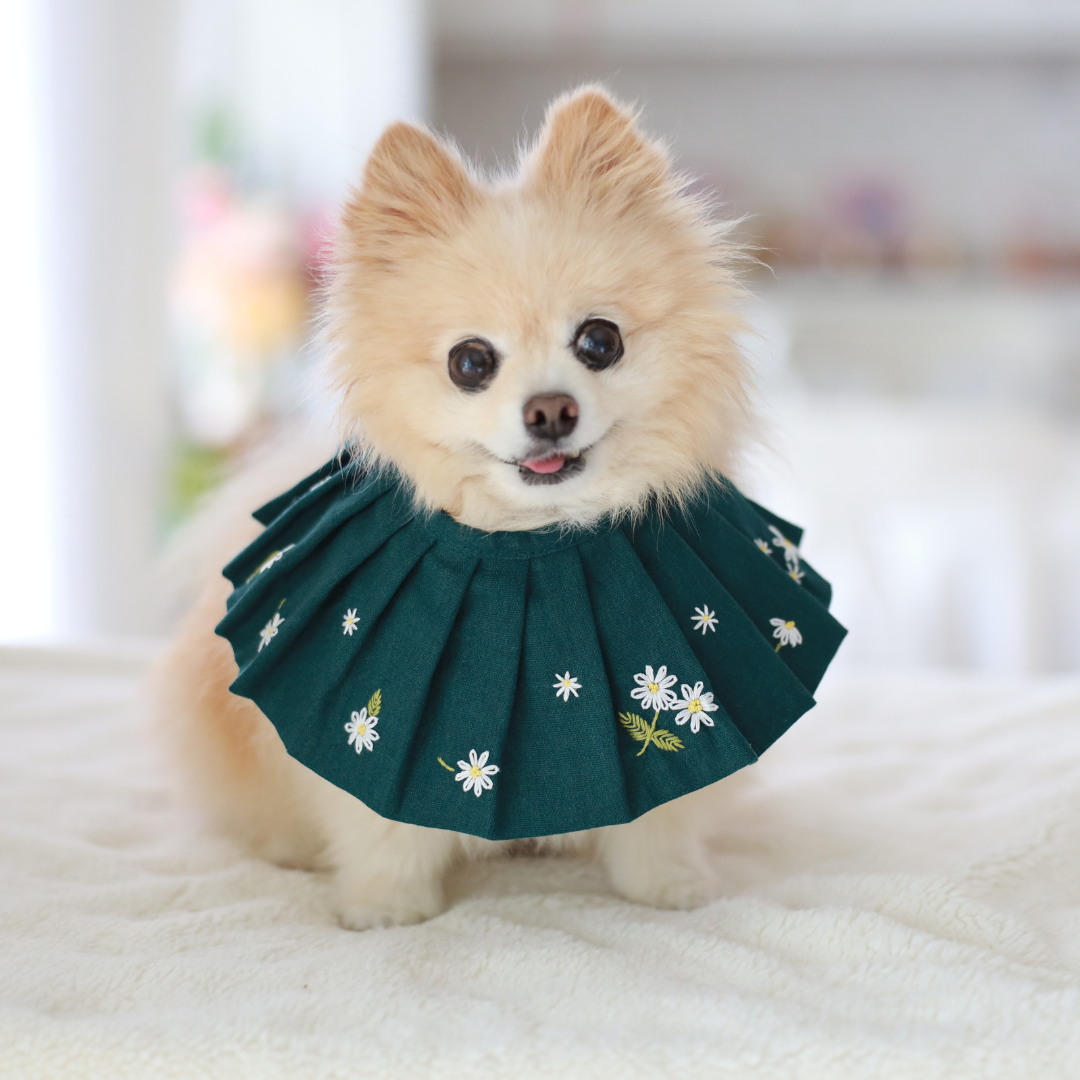Daisy Dog Bib / Bandana for Mealtime
