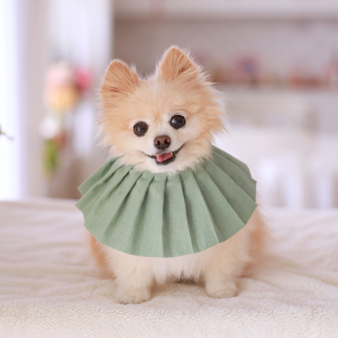 Daisy Dog Bib / Bandana for Mealtime