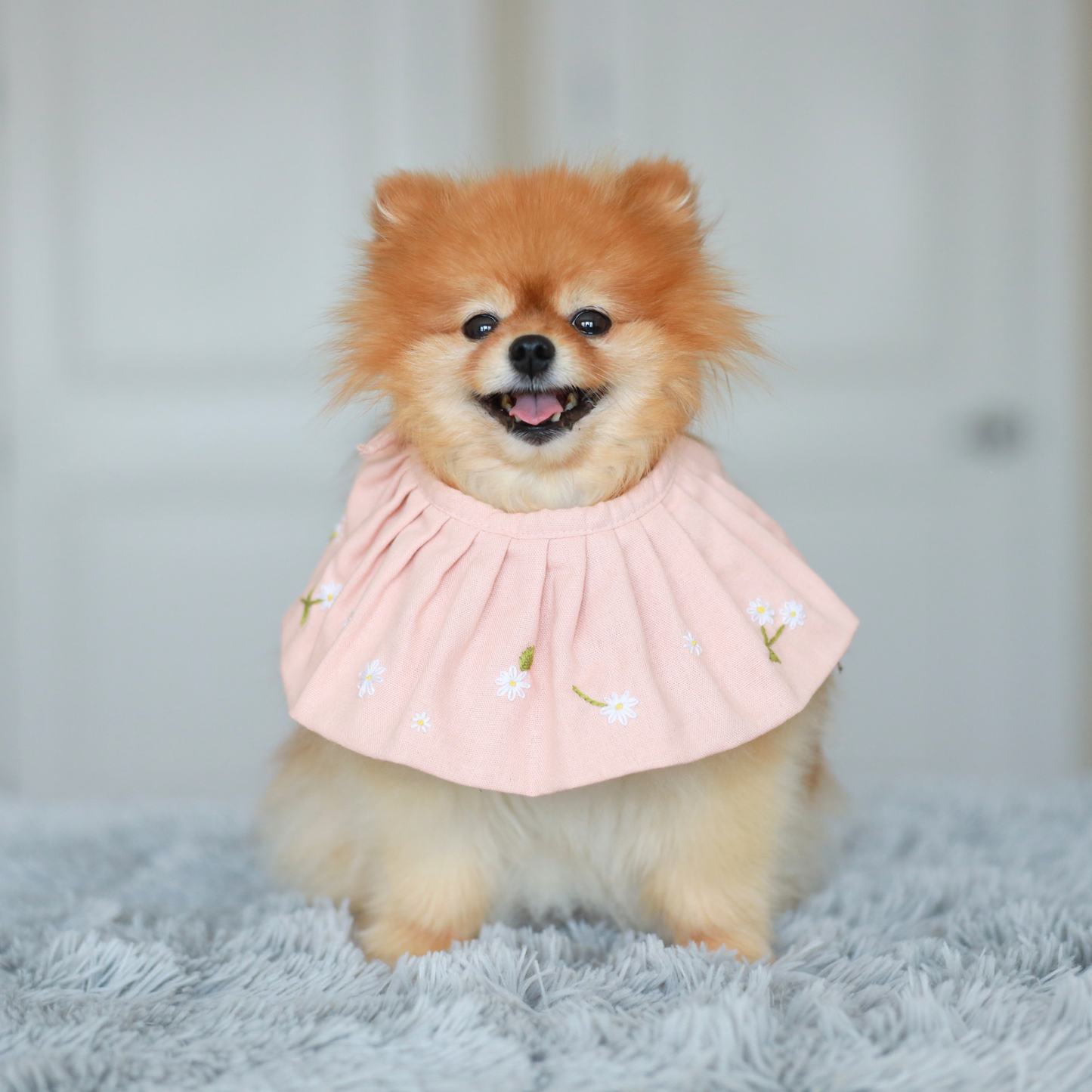 Messy eater dog wearing linen bandana bib