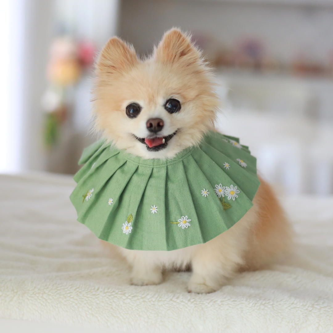 Daisy Dog Bib / Bandana for Mealtime