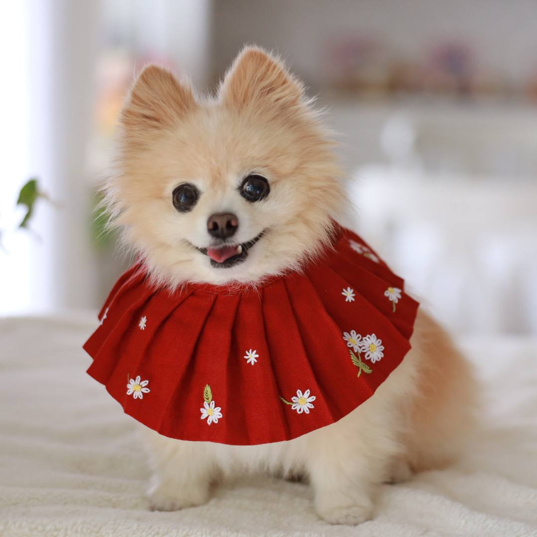 Daisy Dog Bib / Bandana for Mealtime