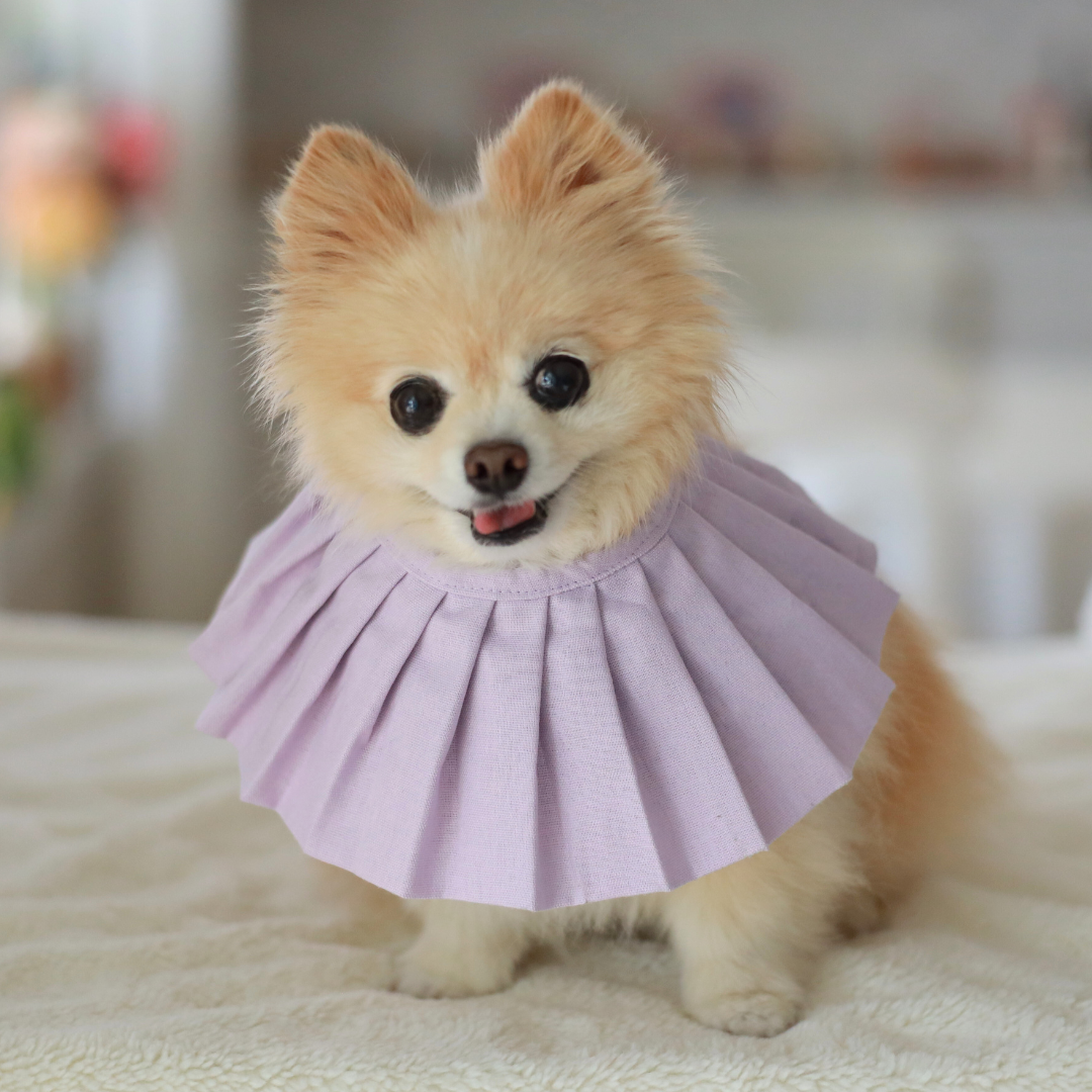 Daisy Dog Bib / Bandana for Mealtime