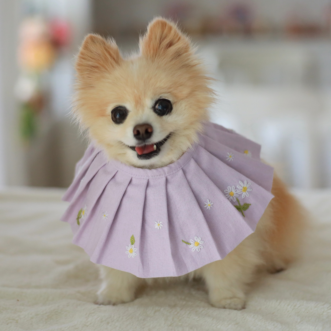 Daisy Dog Bib / Bandana for Mealtime