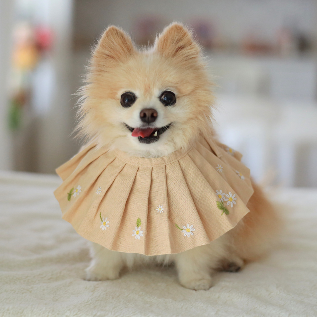 Daisy Dog Bib / Bandana for Mealtime