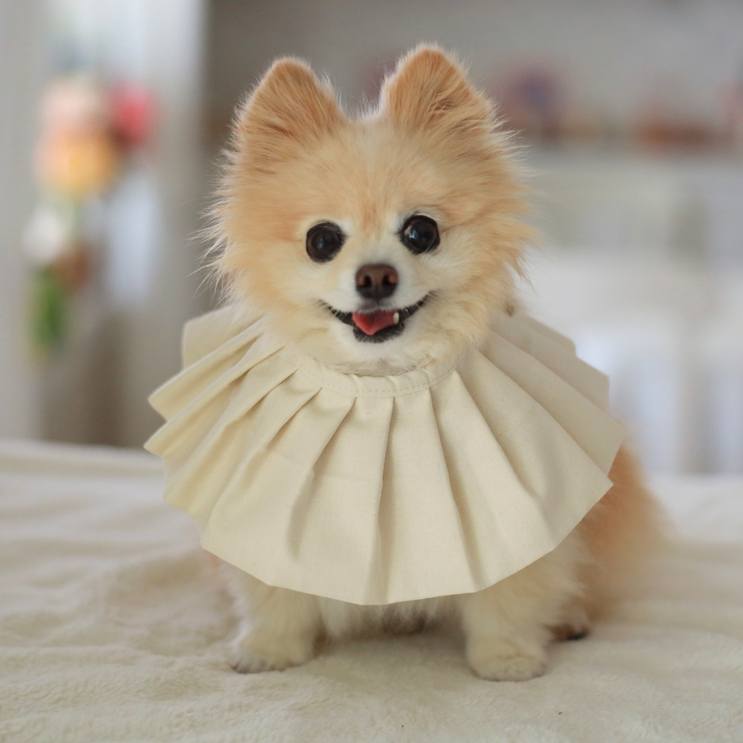 Daisy Dog Bib / Bandana for Mealtime