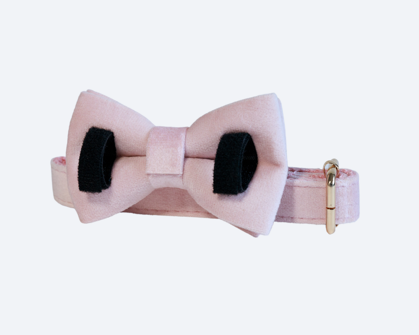 Blush Pink Velvet Bow Tie Collar