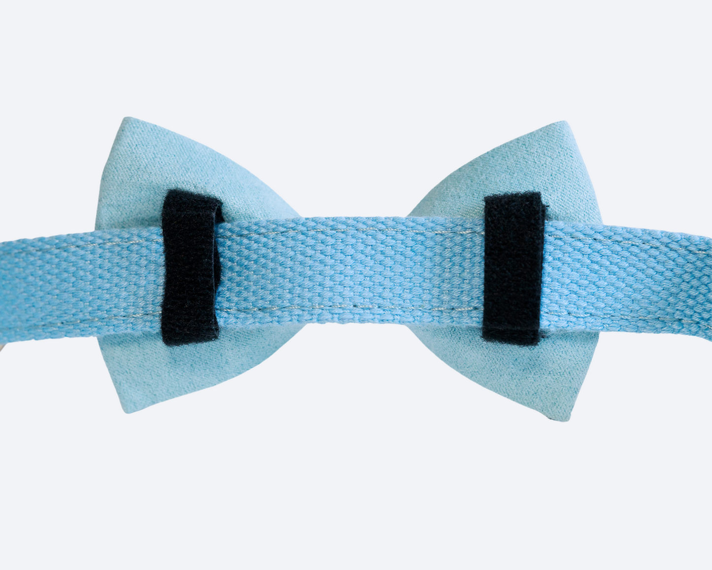 Blue Bow Tie Collar