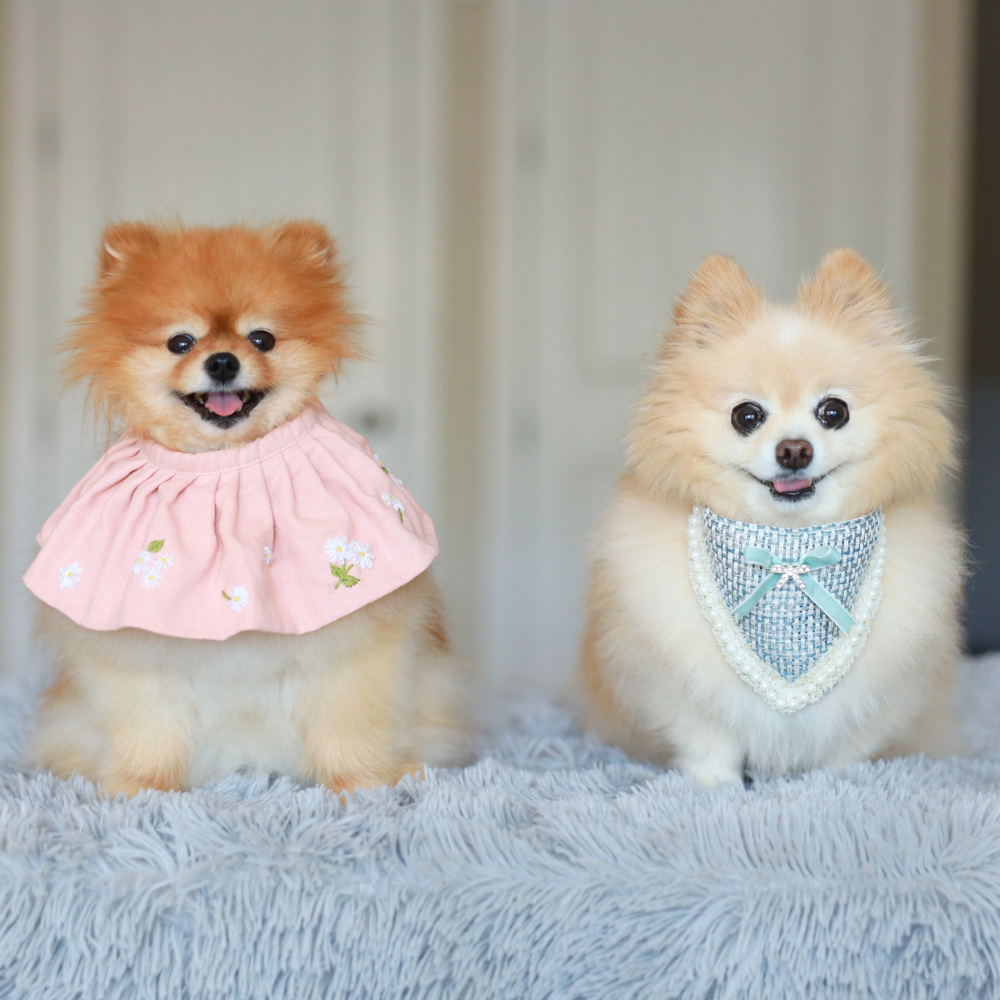 Duke of Elegance Bandana