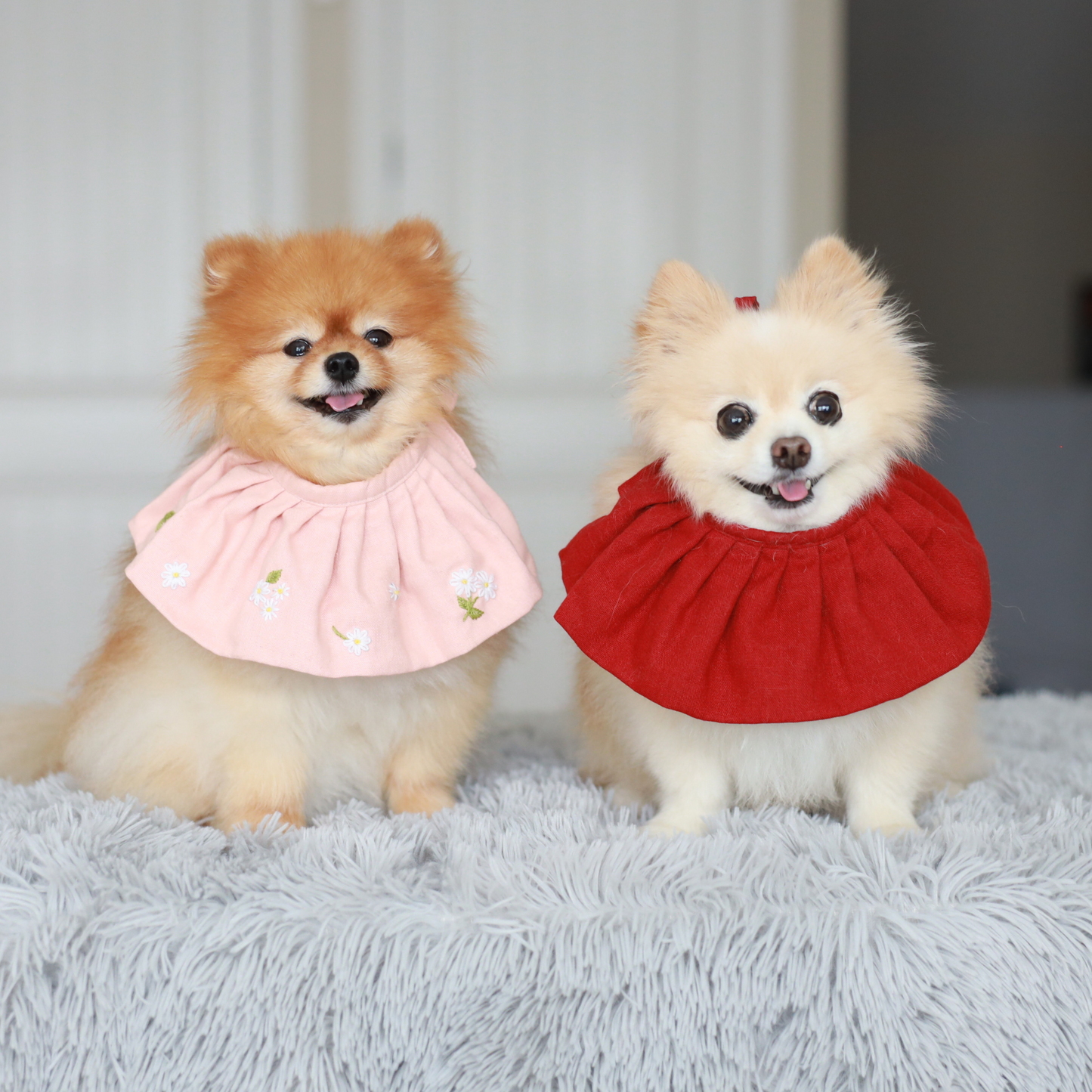 dog scarf to keep fur dry from food and water