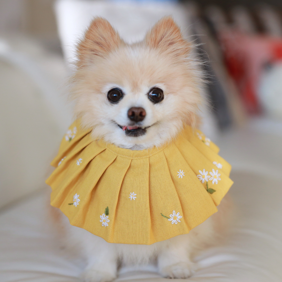 Dog Bib / Bandana for Mealtime – Handcrafted Dog Scarf with Daisy Embroidery