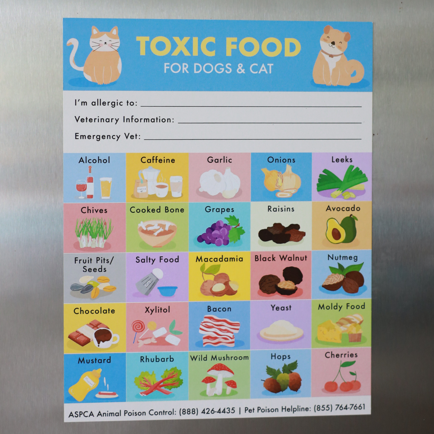 Toxic Foods Fridge Magnet for Pets Dogs & Cats