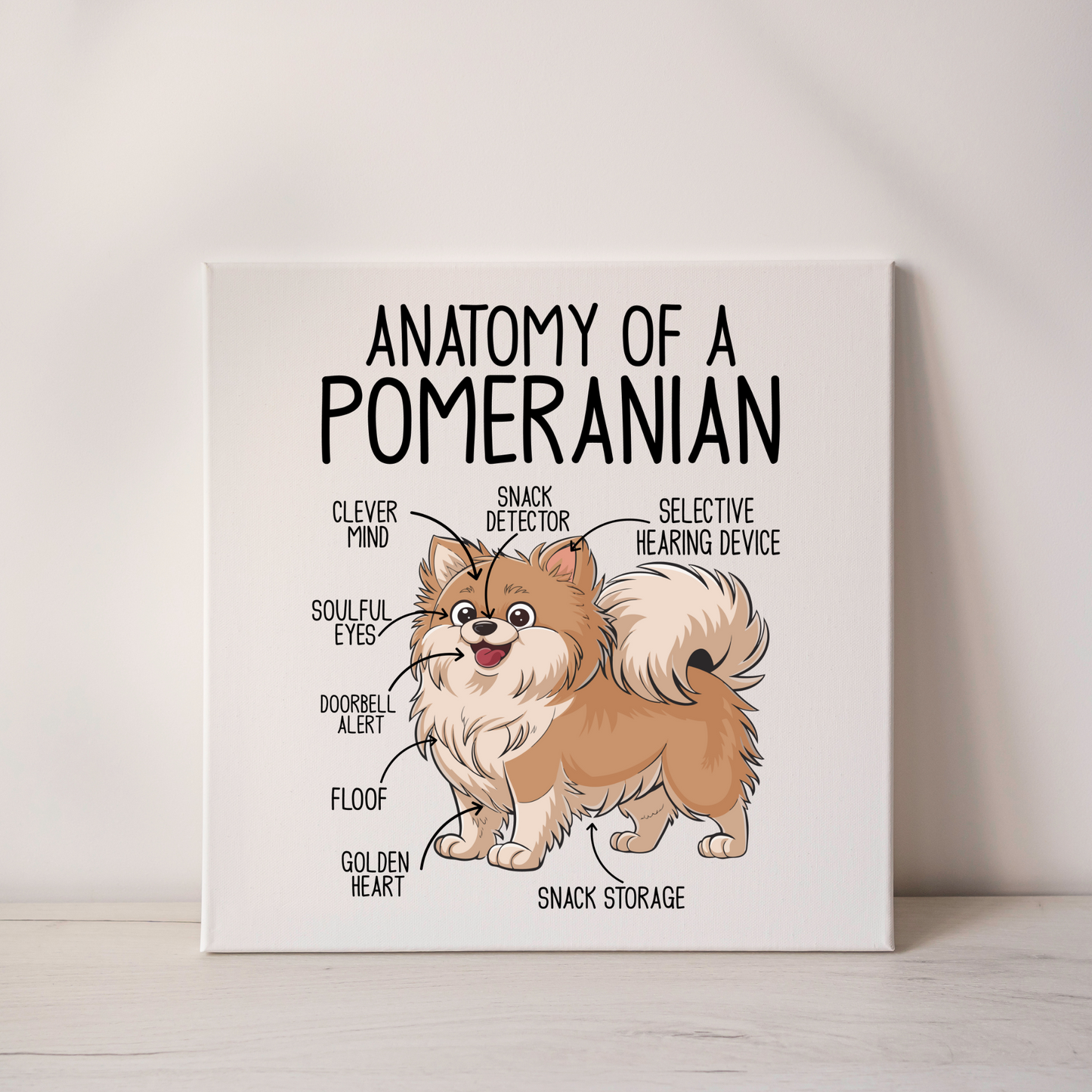Anatomy of a Pomeranian Canvas