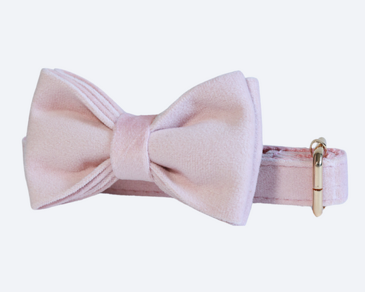Blush Pink Velvet Bow Tie Collar