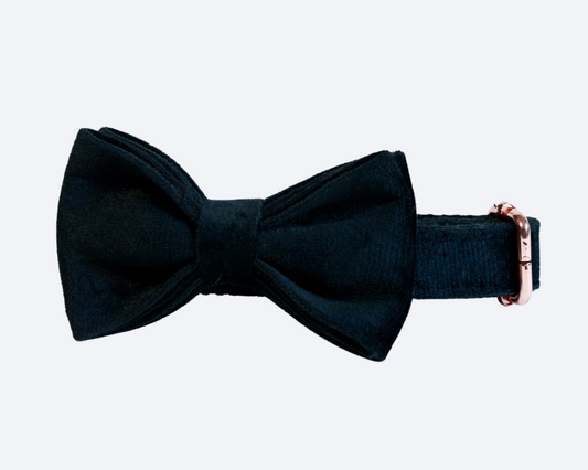 Black Velvet Bow Tie Collar