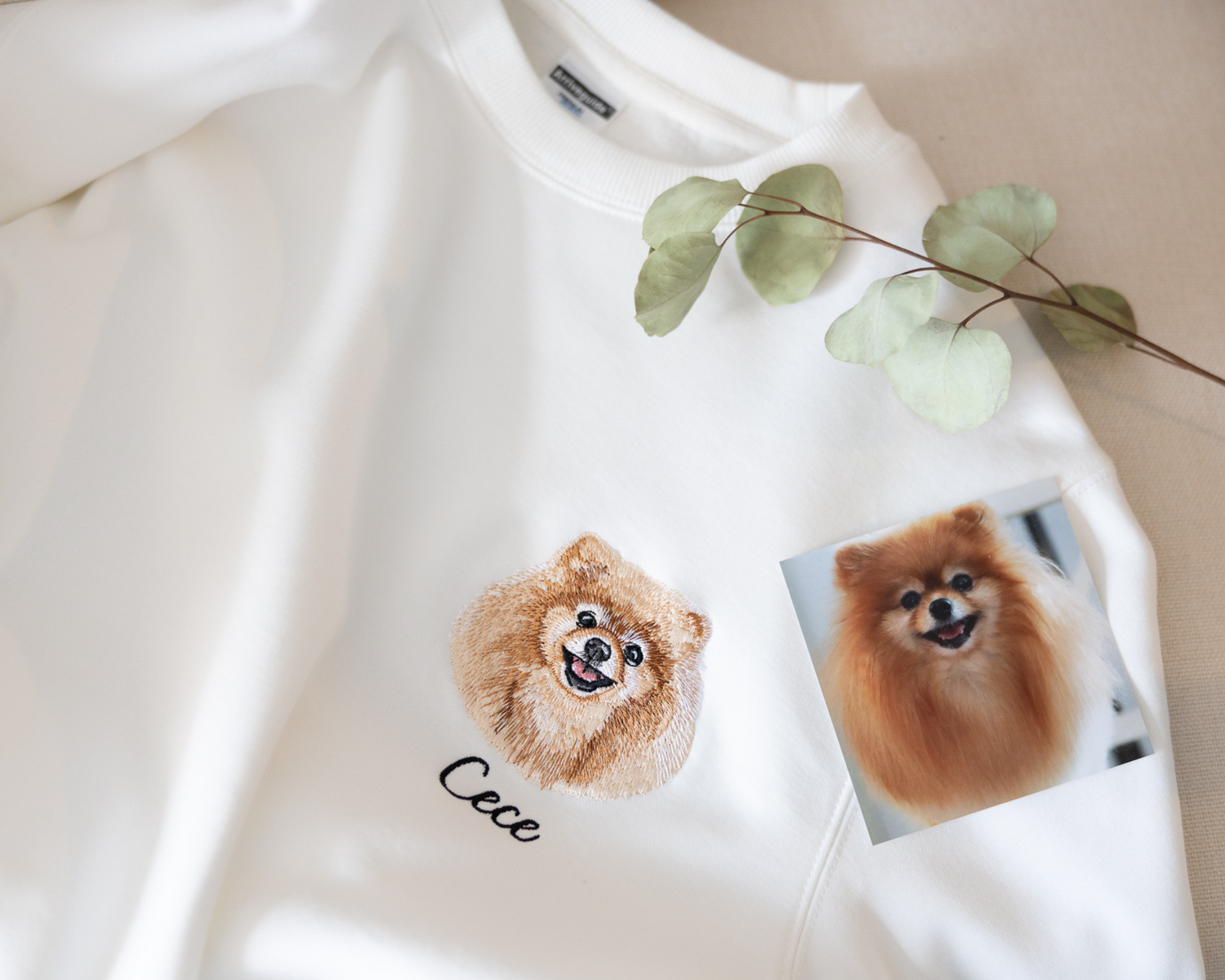 dog embroidered sweatshirt
