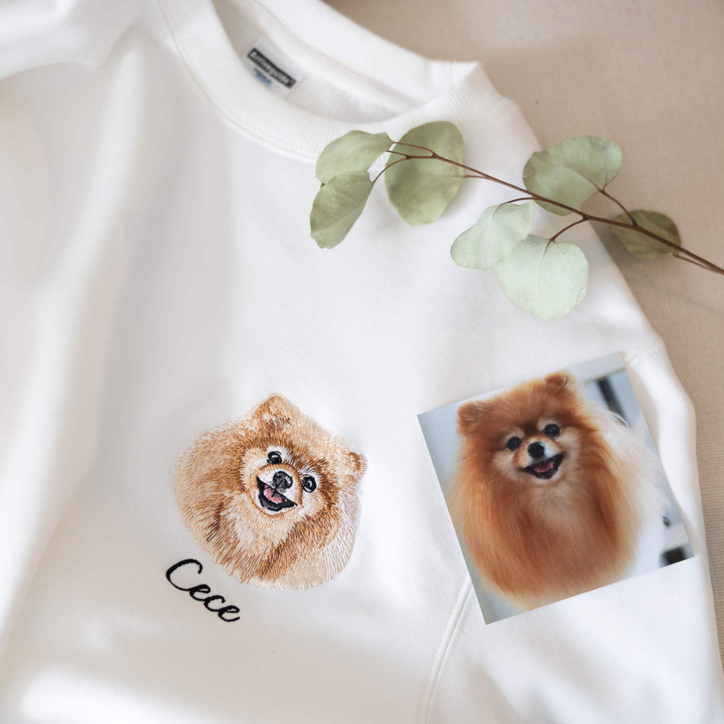 Pet Embroidered Sweatshirt