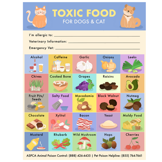 Toxic Foods Fridge Magnet for Pets Dogs & Cats