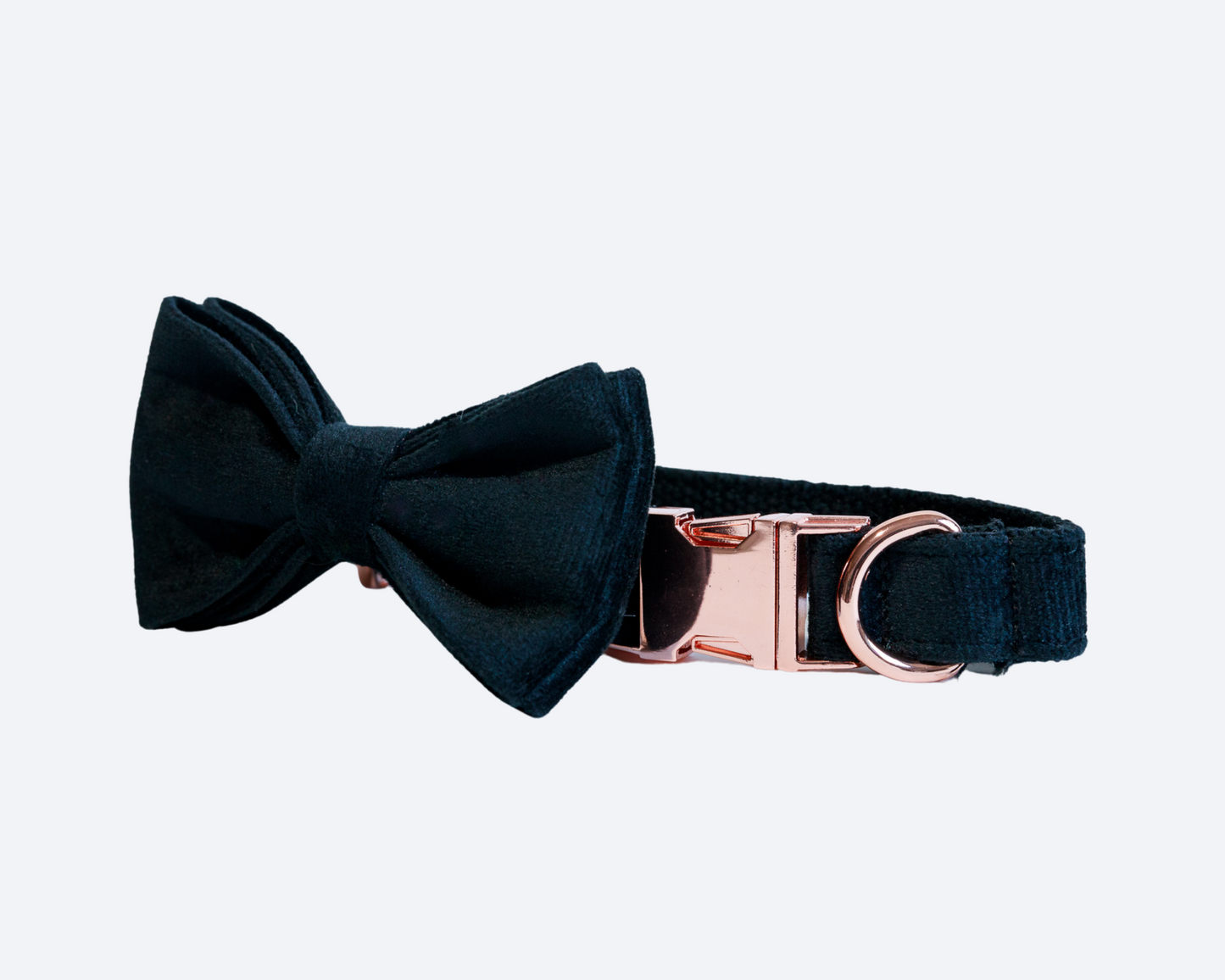 Black Velvet Bow Tie Collar